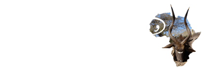 Lake Safaris Logo